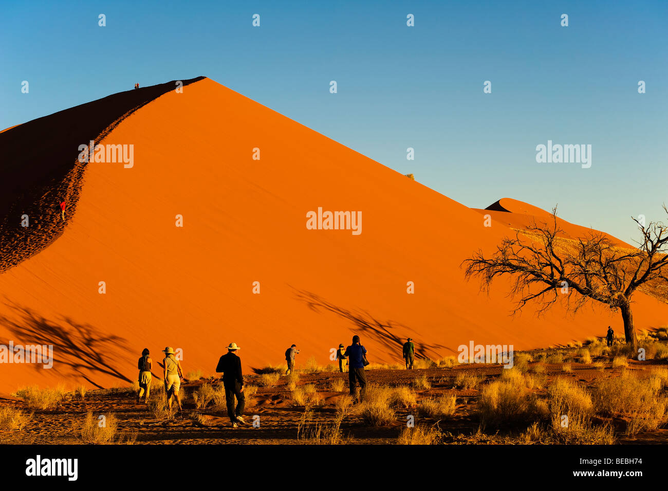 Touristen Klettern Düne 45, Namib-Naukluft-Nationalpark, Namibia Stockfoto