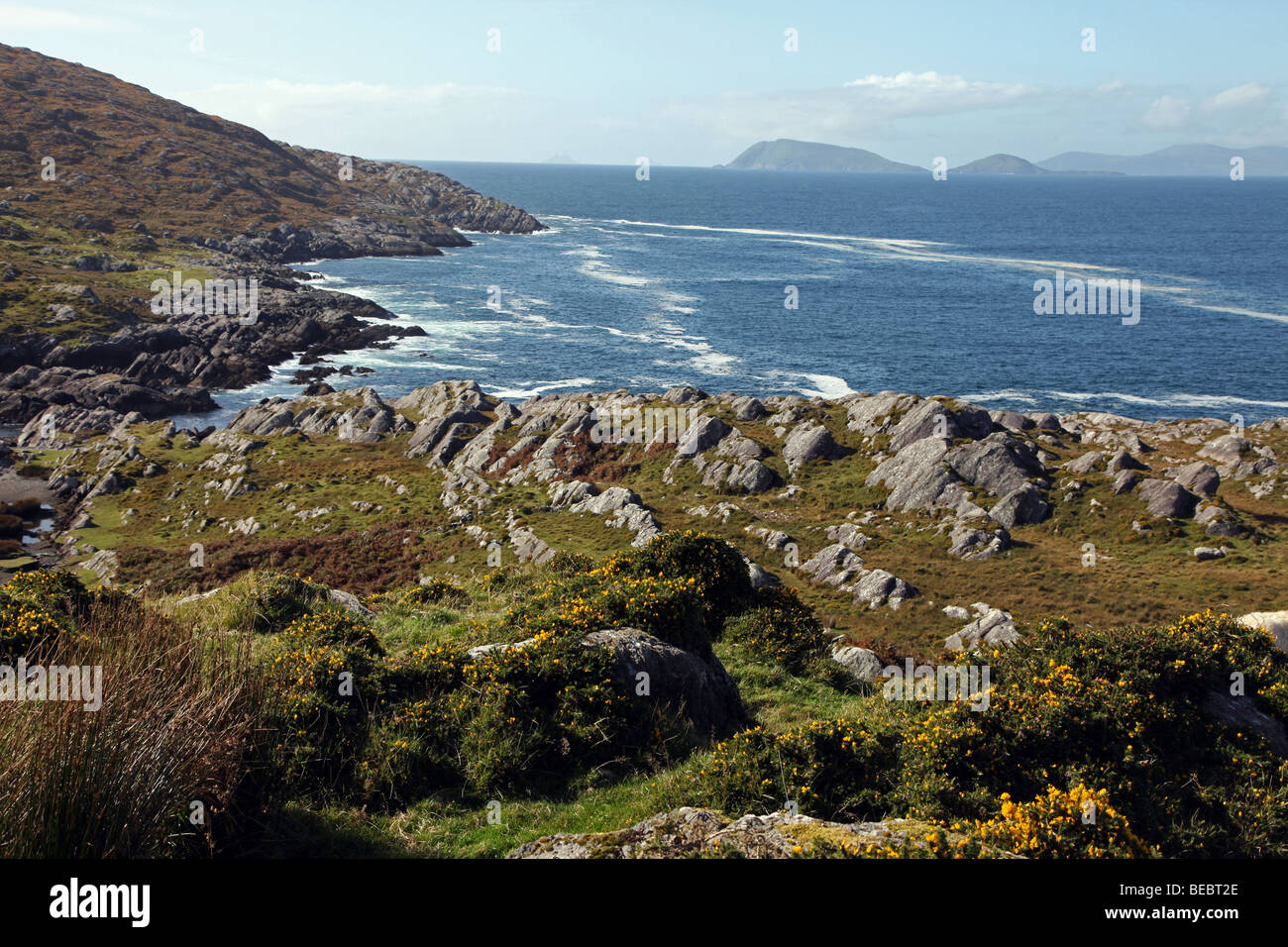 Küste, Beara Halbinsel, Co. Cork, Irland Stockfoto