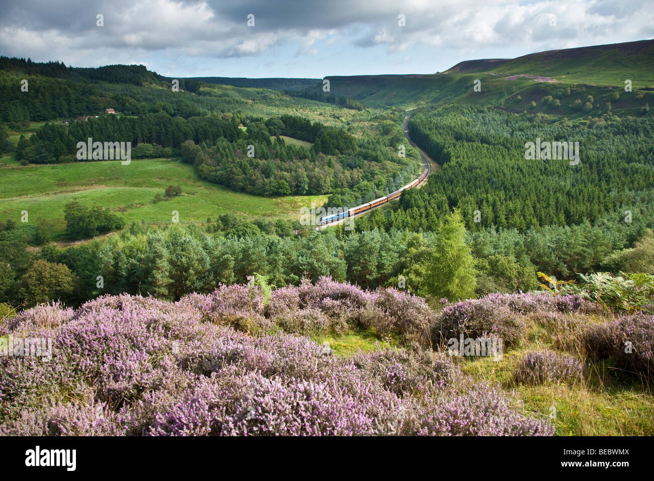 Newtondale von Levisham Moor, North York Moors National Park Stockfoto