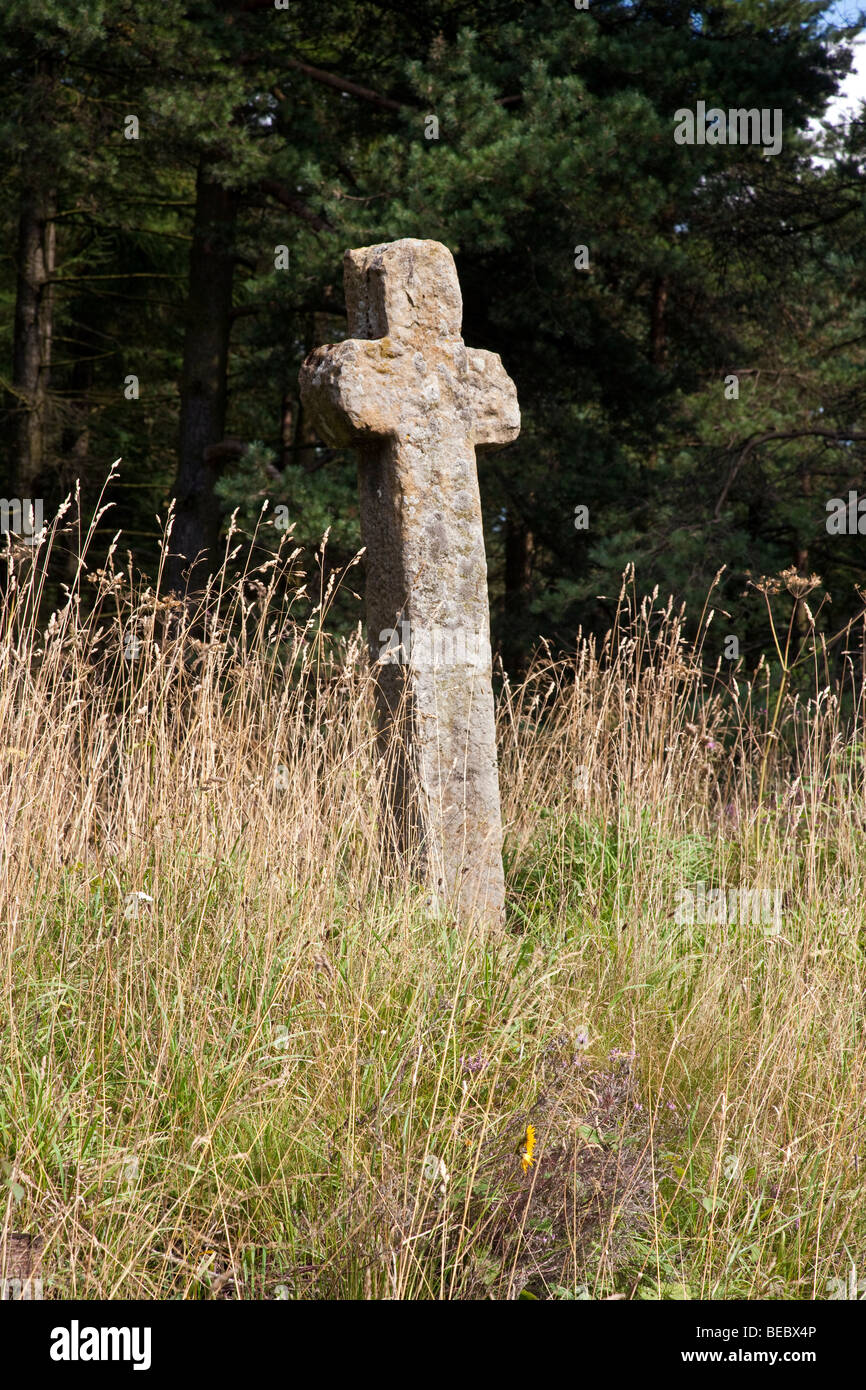 Mauley Kreuz, Cropton Wald, North York Moors National Park. Das Kreuz ist nach der Familie de Mauley Mulgrave Burg benannt. Stockfoto