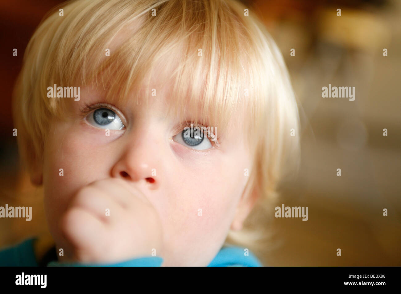 kleiner Junge Saugen Daumen Stockfoto