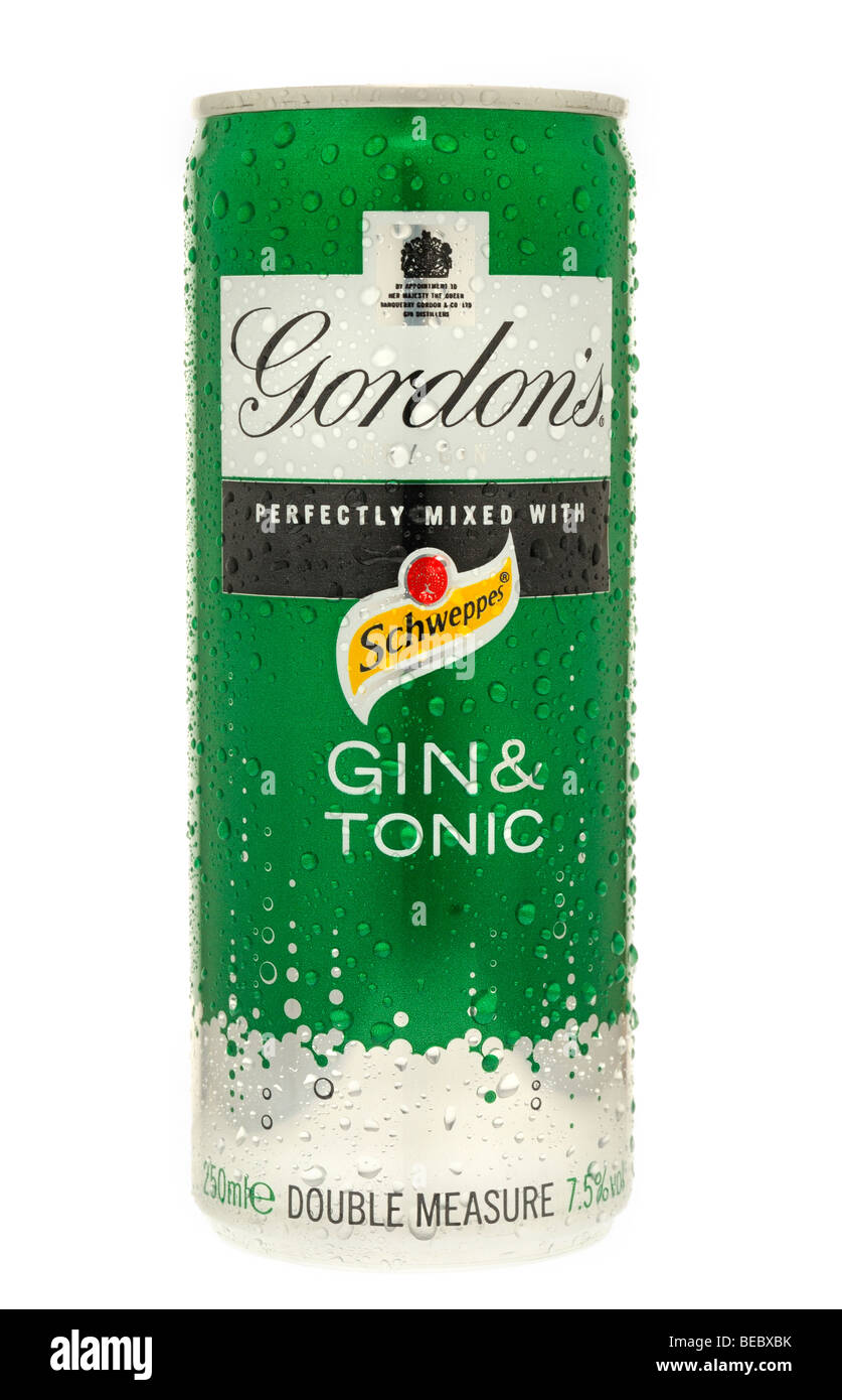 Kann der Gordons Gin & Tonic Stockfoto