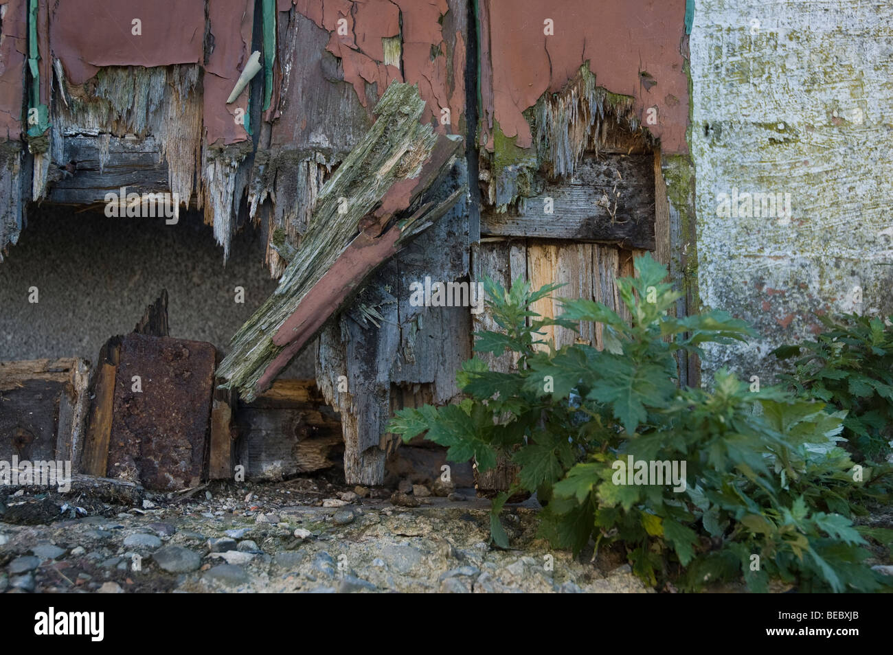 Eine alte Holztür verrottet leise entfernt in Ditherington Flachs Mühle in Shrewsbury. Stockfoto
