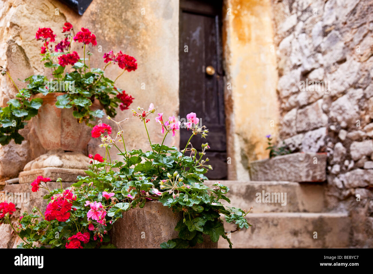 Topfblumen vor Haustür in Eze, Provence Frankreich Stockfoto