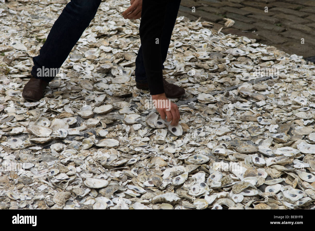 Künstler John Monteith ist Rivers Edge Kunstwerk eines Teppichs abgelegten Austernschalen Stockfoto