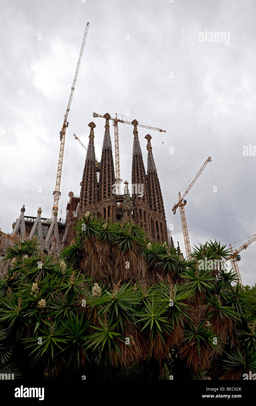 Gaudis Sagrada Familia in Barcelona Stockfotografie Alamy