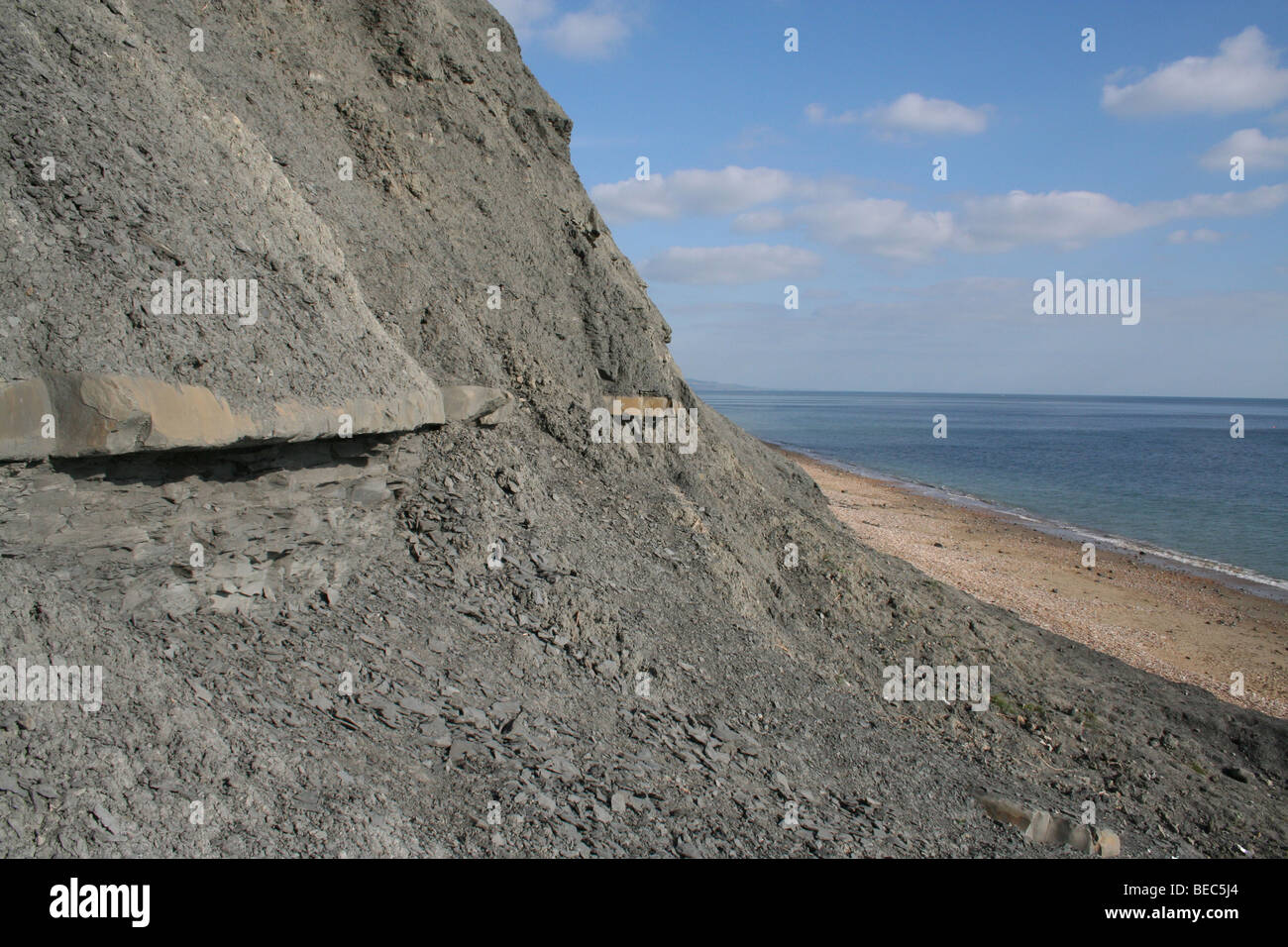 Charmouth Cliffs an einem heißen sonnigen Tag. Stockfoto