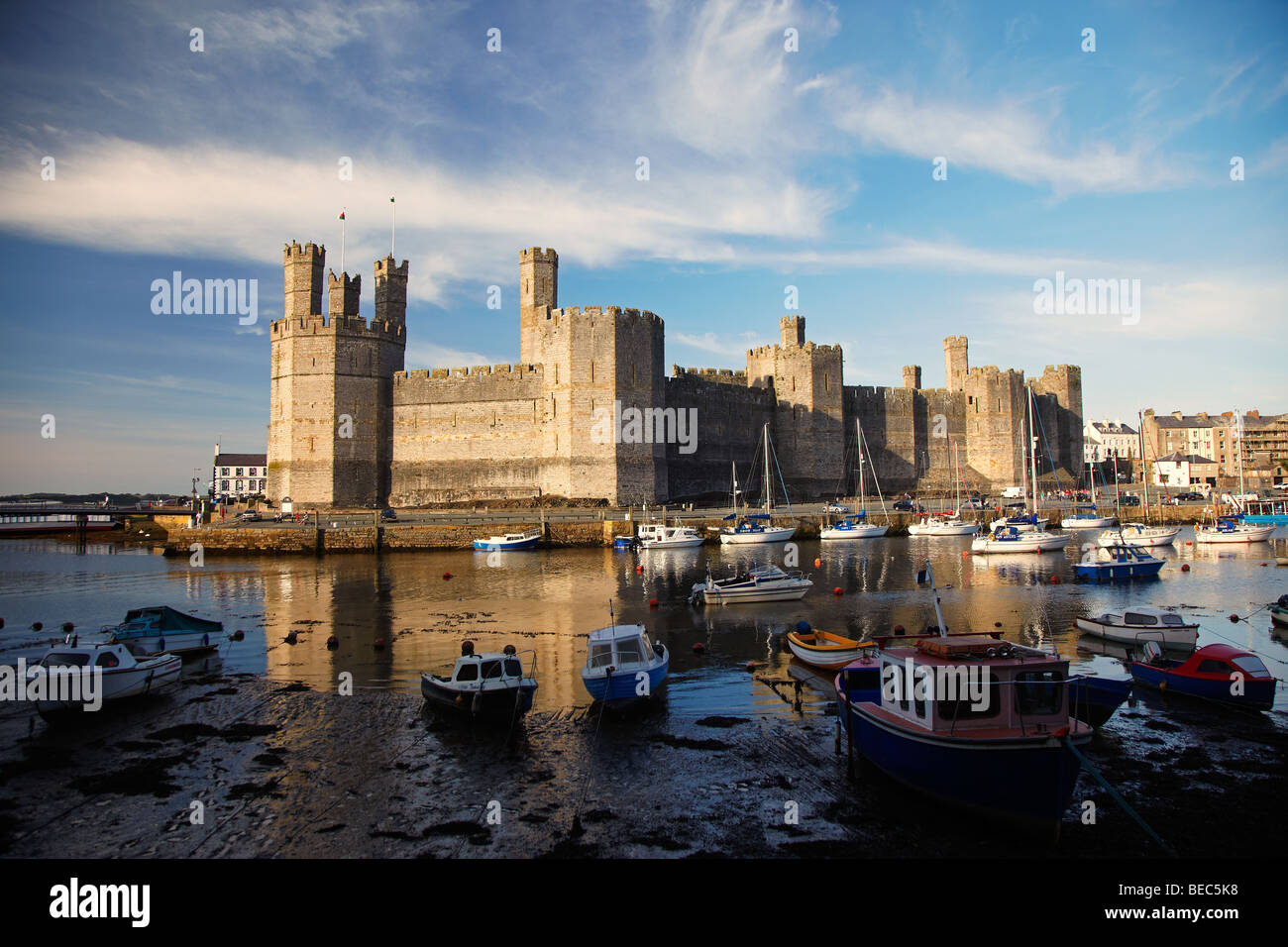 Caernarfon Castle, Gwynedd, Nordwales, UK Stockfoto