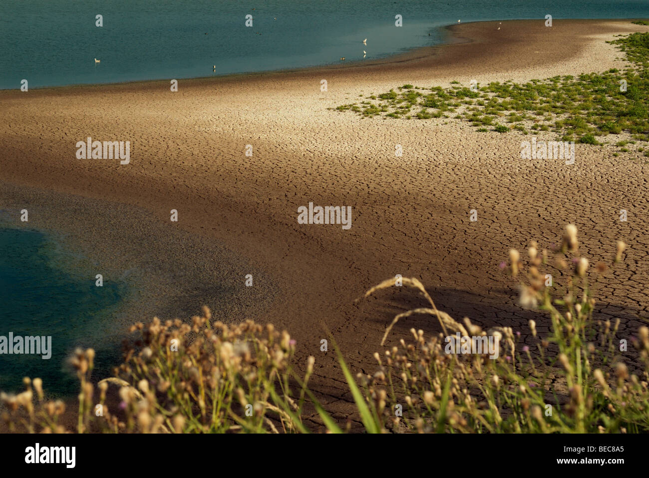 Strand mit trockene rissige Erde Stockfoto