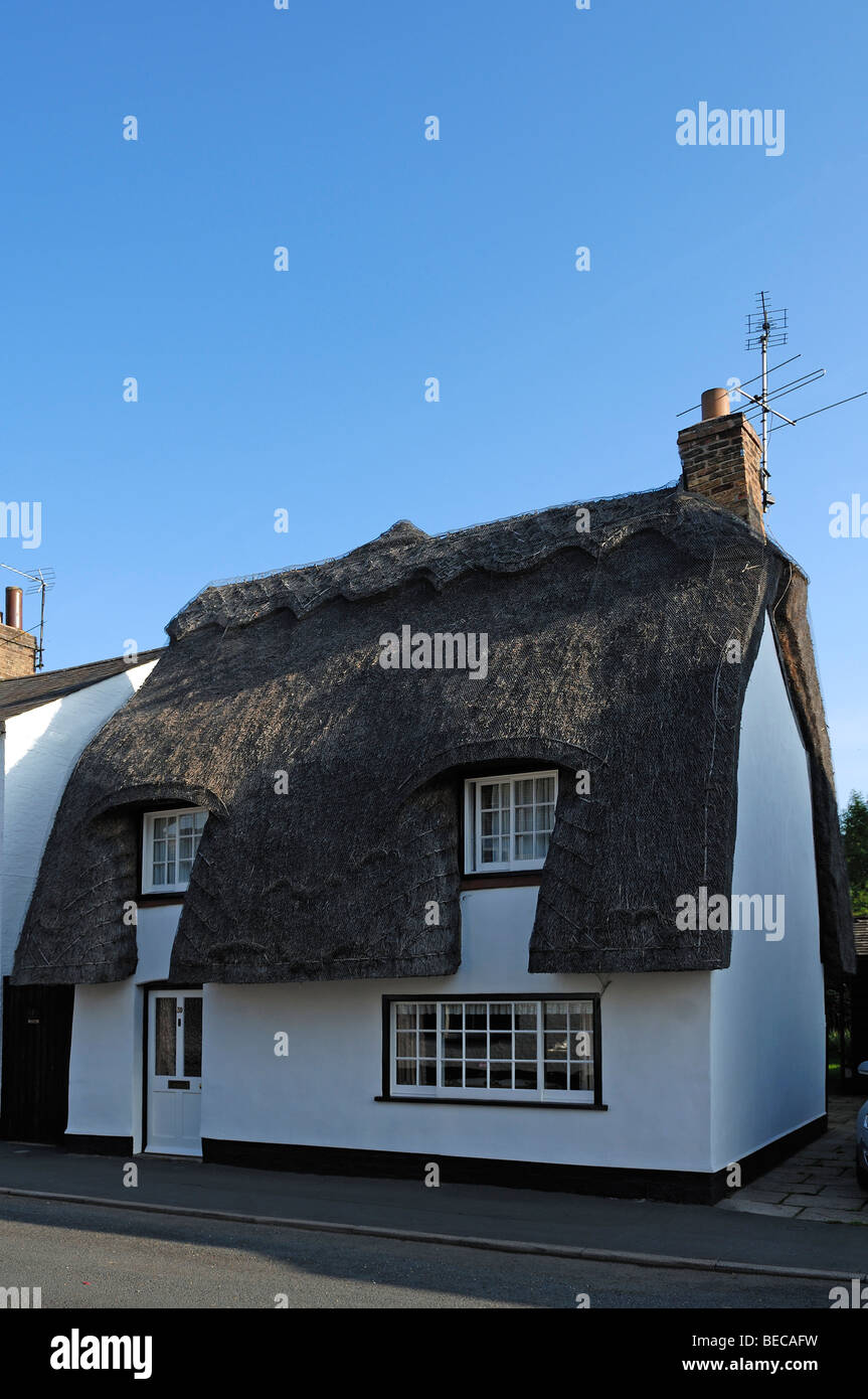 Alten reetgedeckten Haus, Hauptstraße 39, Hemingford Gray, Cambridgeshire, England, Vereinigtes Königreich, Europa Stockfoto