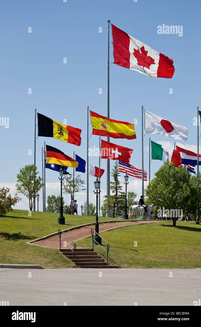 Verschiedenen Länderflaggen am Eingang zum Spruce Meadows in Calgary, Alberta, Kanada Stockfoto