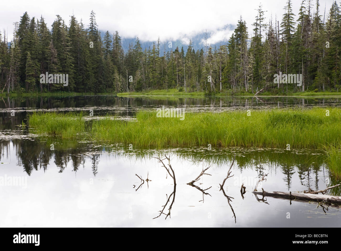 Kran-See in der Nähe von Petersburg, Tongass National Forest, Mitkof-Insel, Südost-Alaska, Alaska, USA, Nordamerika Stockfoto