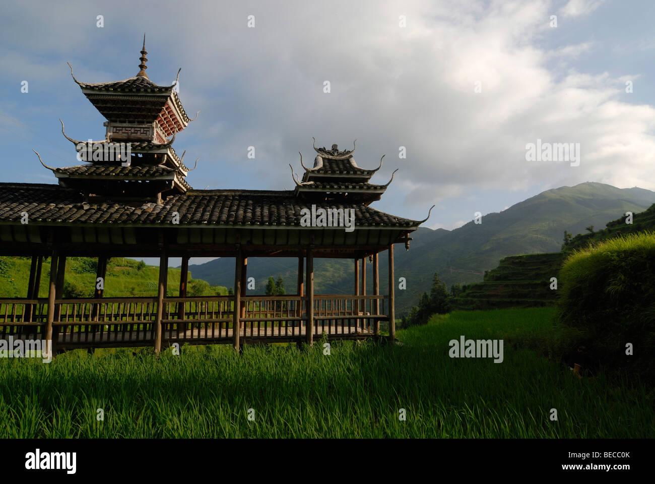 Wind und Regen Brücke in die Reisterrassen, Tang eine Dorf der Dong Minderheit, Guizhou, China, Asien Stockfoto