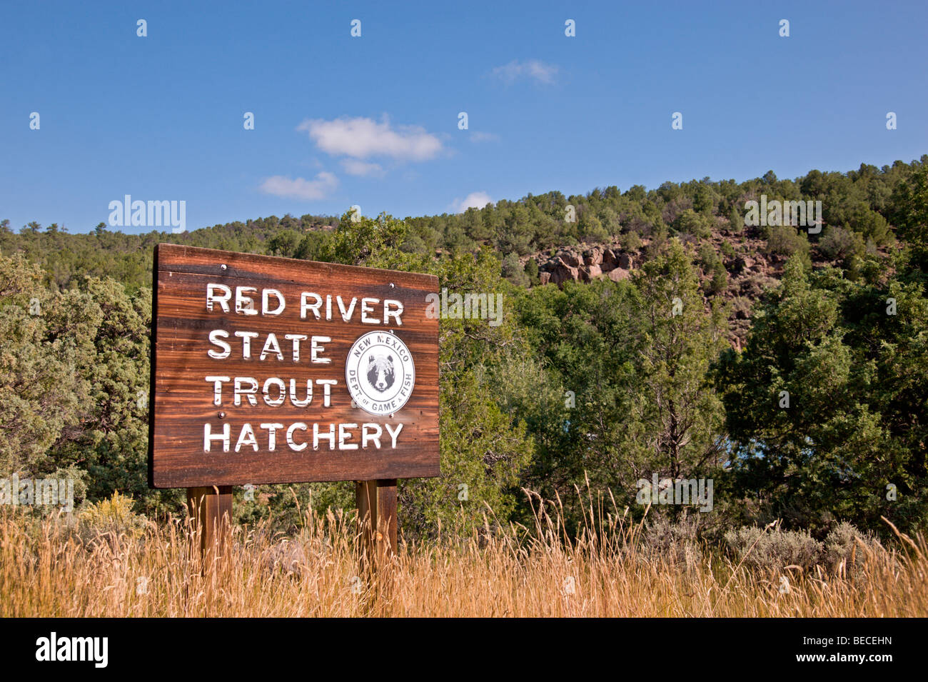 Red River State Forelle Brüterei in der Nähe von Red River, New-Mexico. Stockfoto