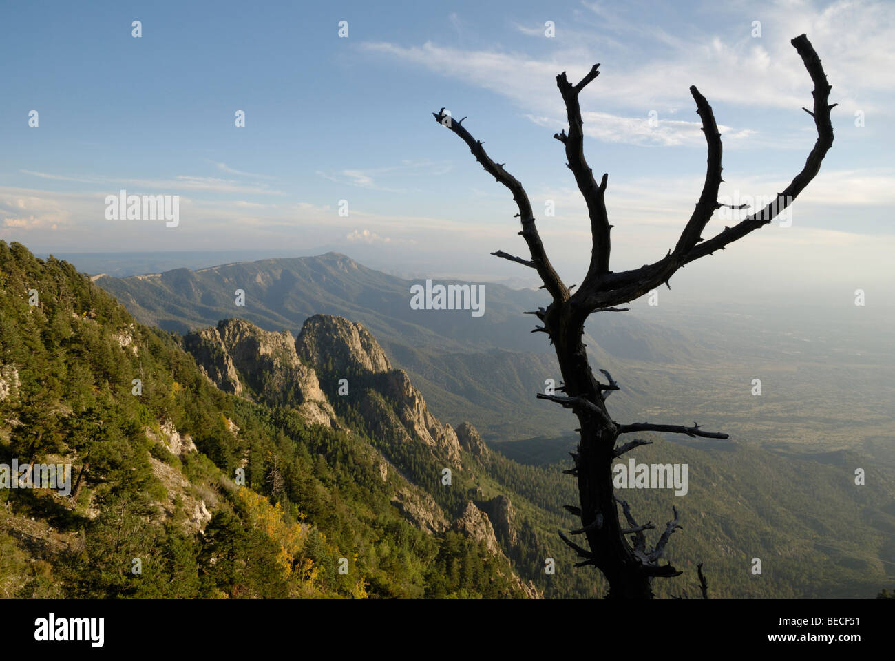 Ein Blick vom Sandia Peak, Albuquerque, New Mexico, USA. Stockfoto