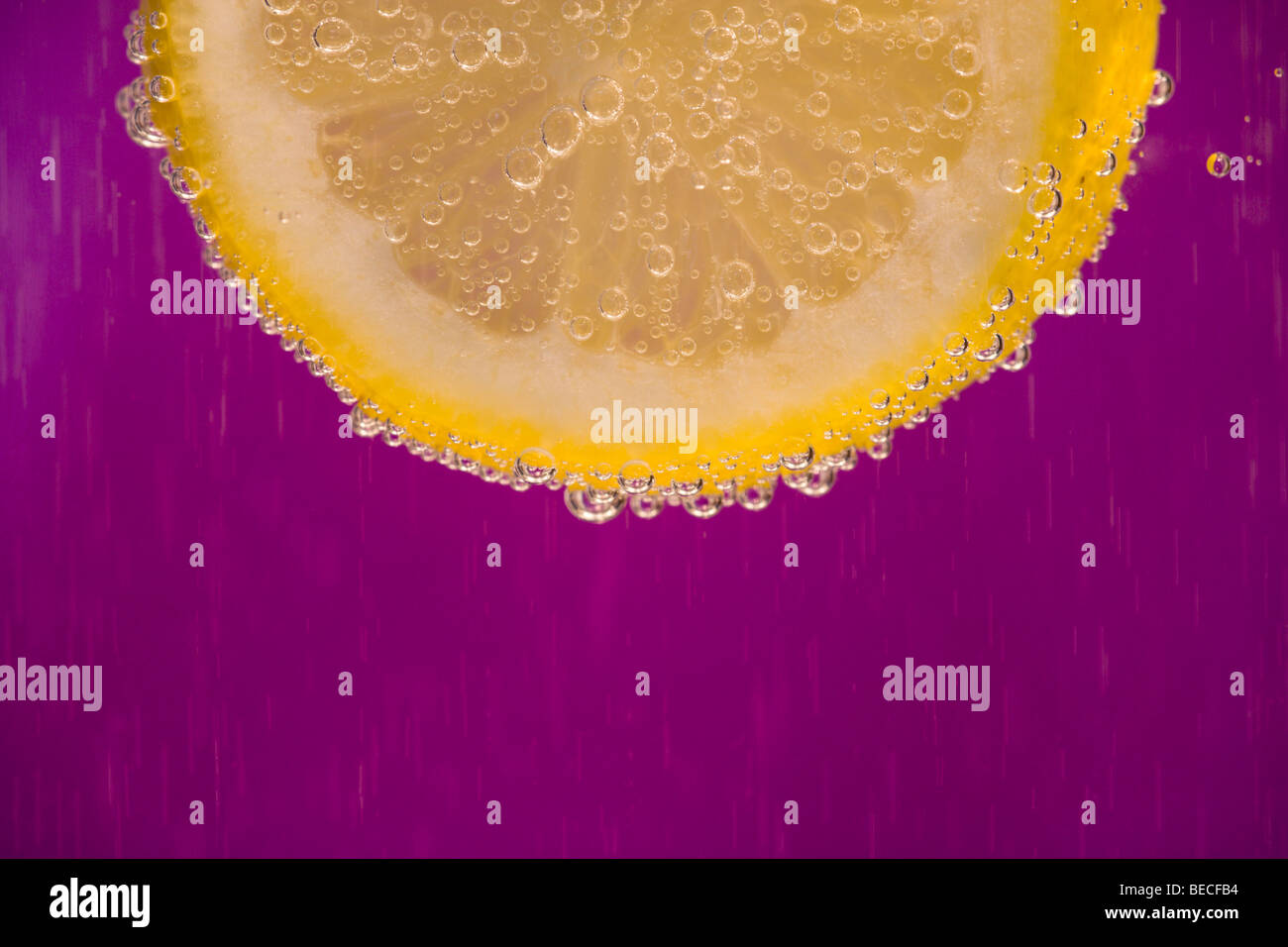 Nahaufnahme Bild eines Teils der Zitronenscheibe Bläschen von Wasser umgeben Stockfoto