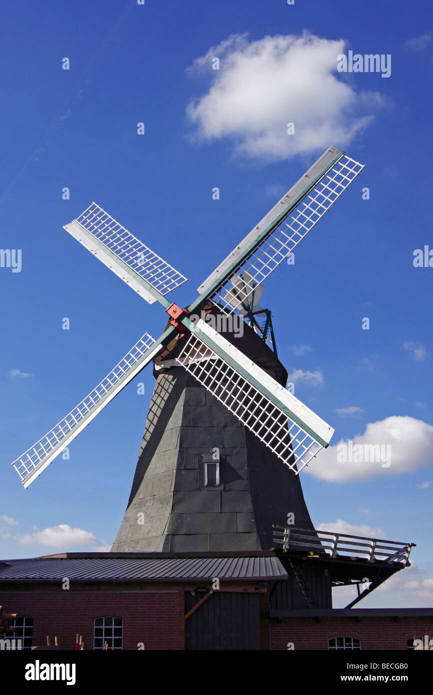 Alte Windmühle "Anna" holländischen Stil, Suederhastedt, Dithmarschen Bezirk, Schleswig-Holstein, Deutschland Stockfoto