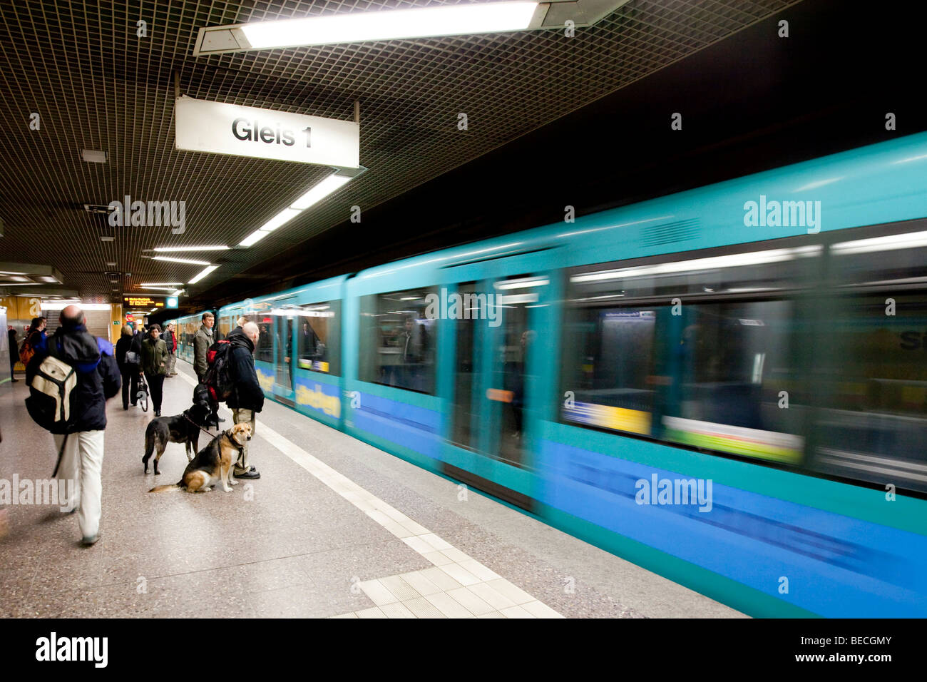 Pendler, die warten auf die u-Bahn ziehen in Frankfurt am Main, Hessen, Deutschland, Europa Stockfoto