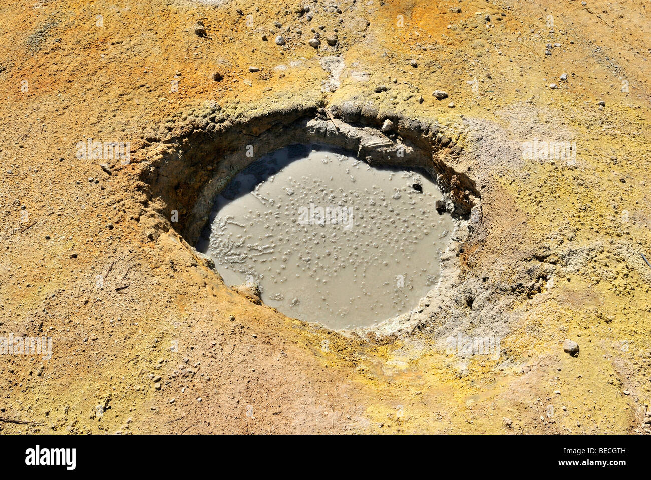 Heiße Mudpot im Feld Solfatara Bumpass Hell, Lassen Volcanic Nationalpark, Kalifornien, USA Stockfoto