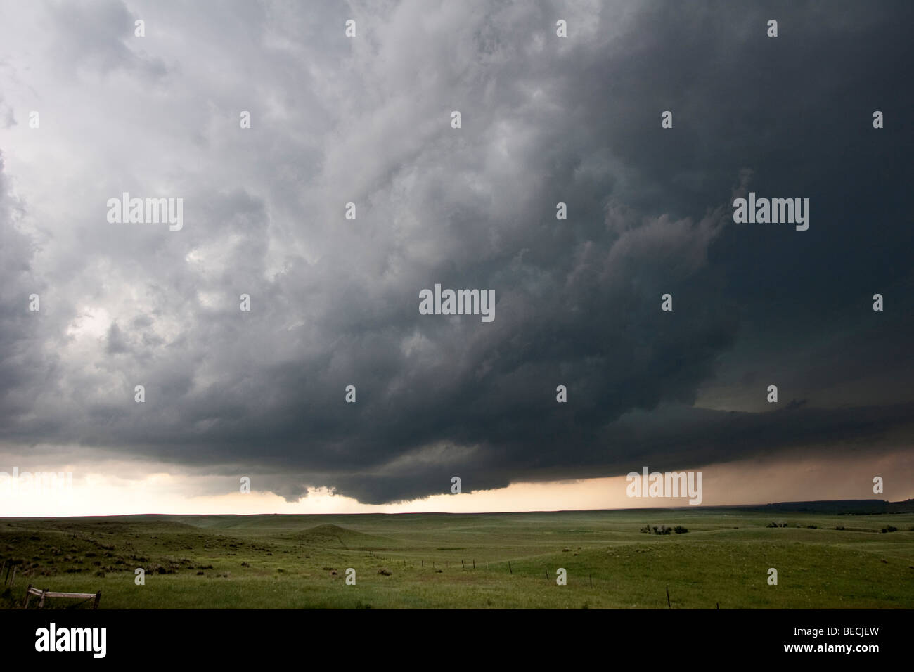 Eine Wand-Wolke in Goshen County, Wyoming, 5. Juni 2009. Stockfoto