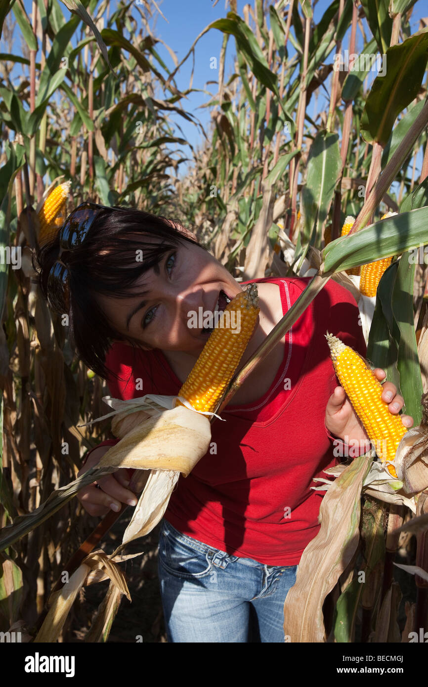 Frau Biss in einen Maiskolben Maiskolben auf Maispflanze Stockfoto