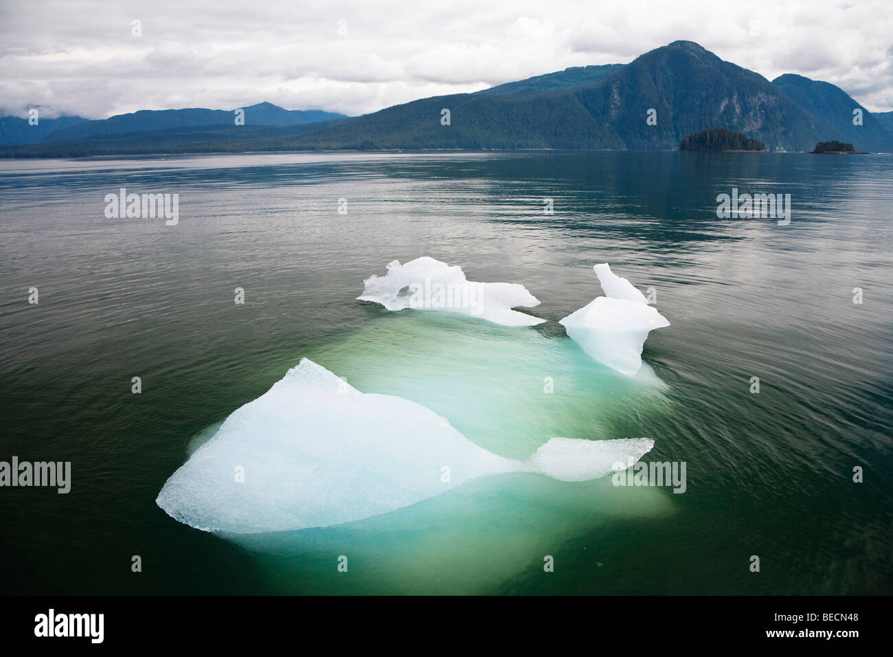Icefloe im Inside Passage, südöstlichen Alaska, USA Stockfoto