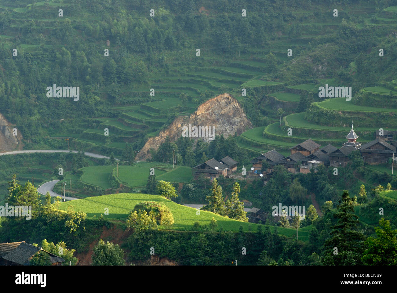 Reisterrassen, Tang eine Dorf der Dong-Minderheit, Guizhou, China, Asien Stockfoto