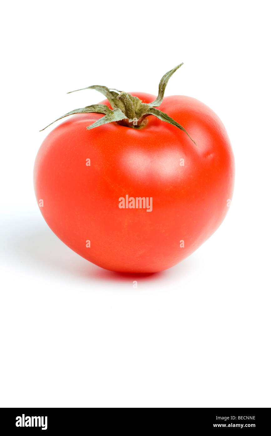 RIP rote Tomate auf weißem Hintergrund Stockfoto