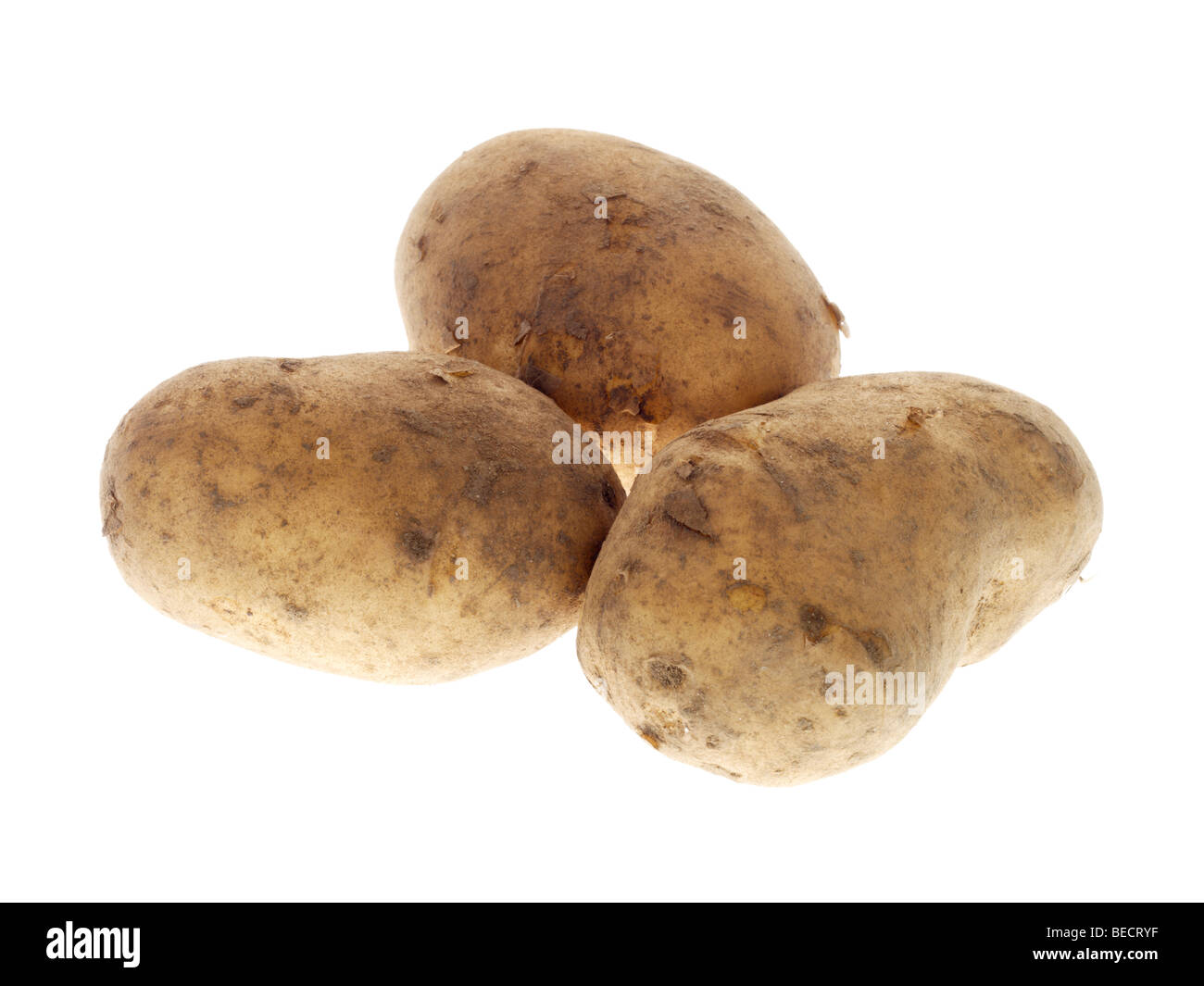 Maris Piper Kartoffeln Stockfoto