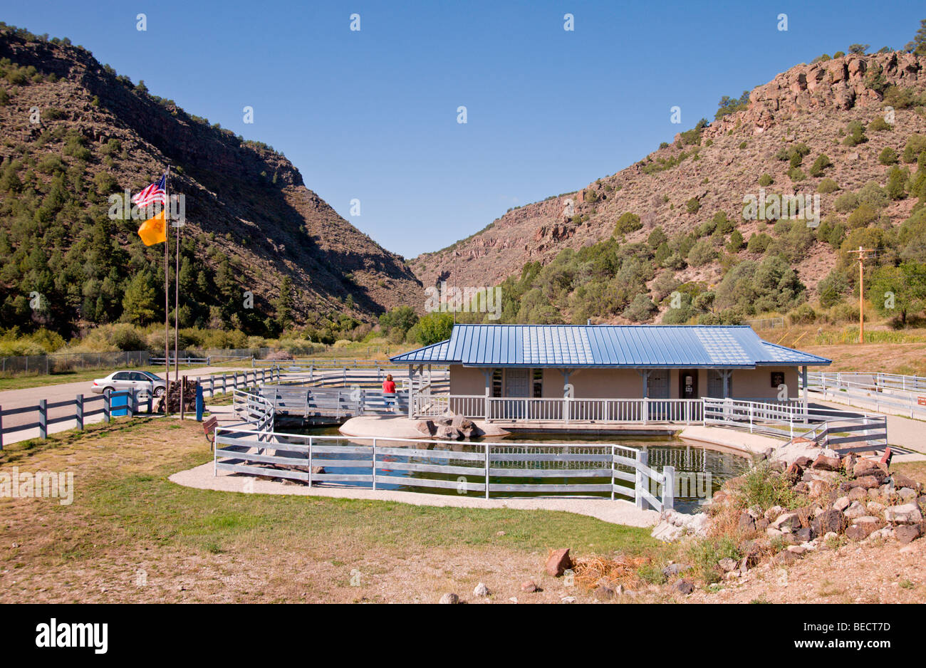 Red River State Forelle Brüterei in der Nähe von Red River, New-Mexico. Stockfoto