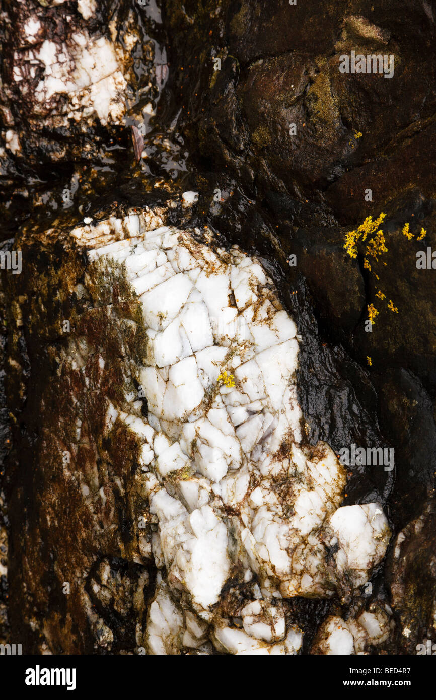 Quarzader in Rock, Schottland Stockfoto