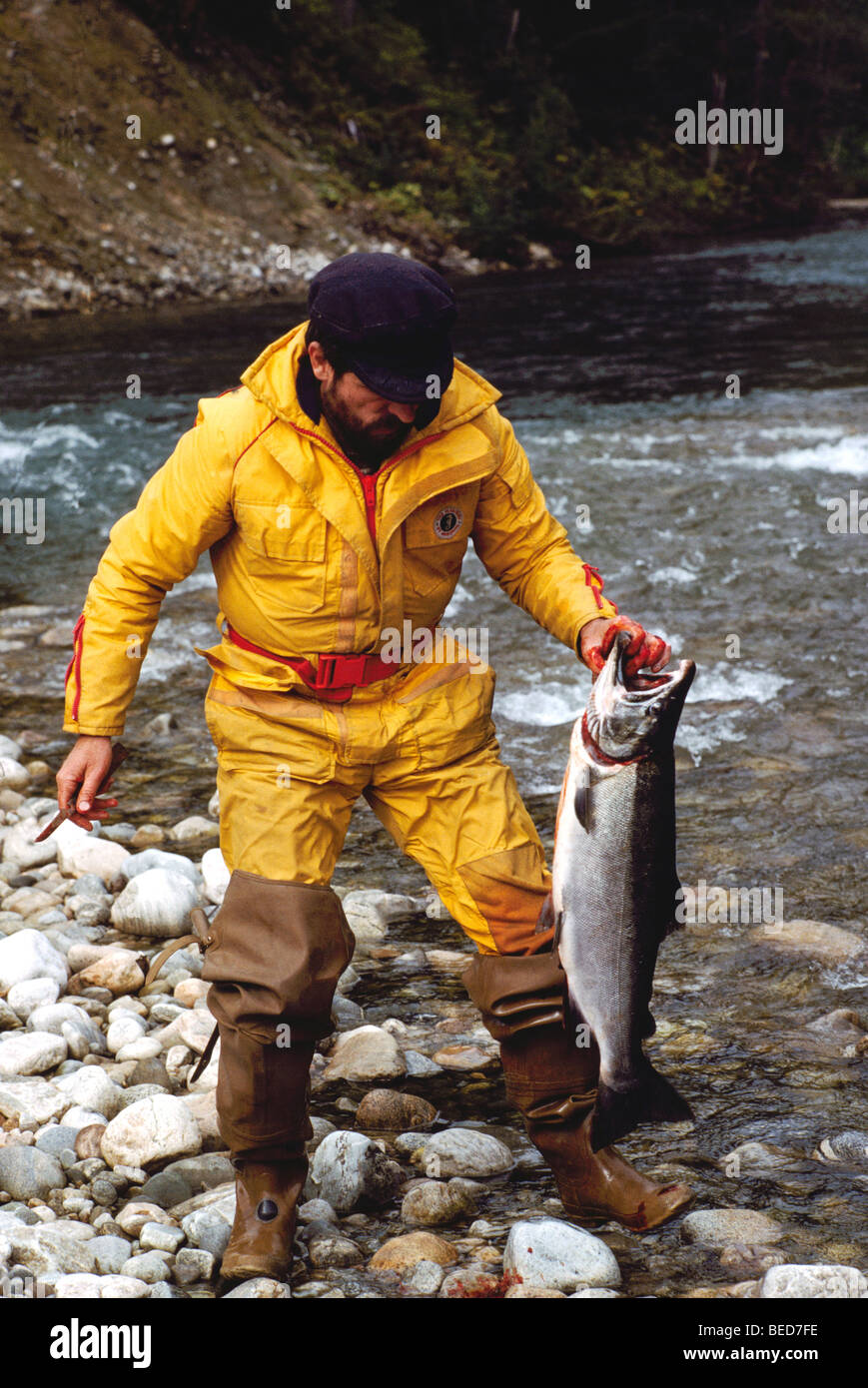 Khutzeymateen River in der Nähe von Prince Rupert, BC, Britisch-Kolumbien, Kanada - Fischer hält gefangen pazifischen Lachs Fische zu fangen Stockfoto