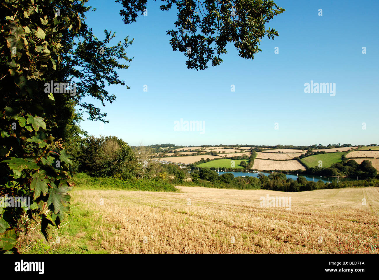 Spätsommer in der kornischen Landschaft in der Nähe von Mylor, Cornwall, uk Stockfoto