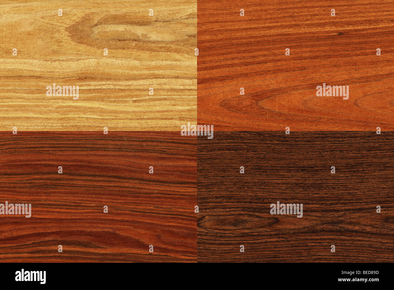 Collage aus hoch-detaillierte Holz Texturen Stockfoto