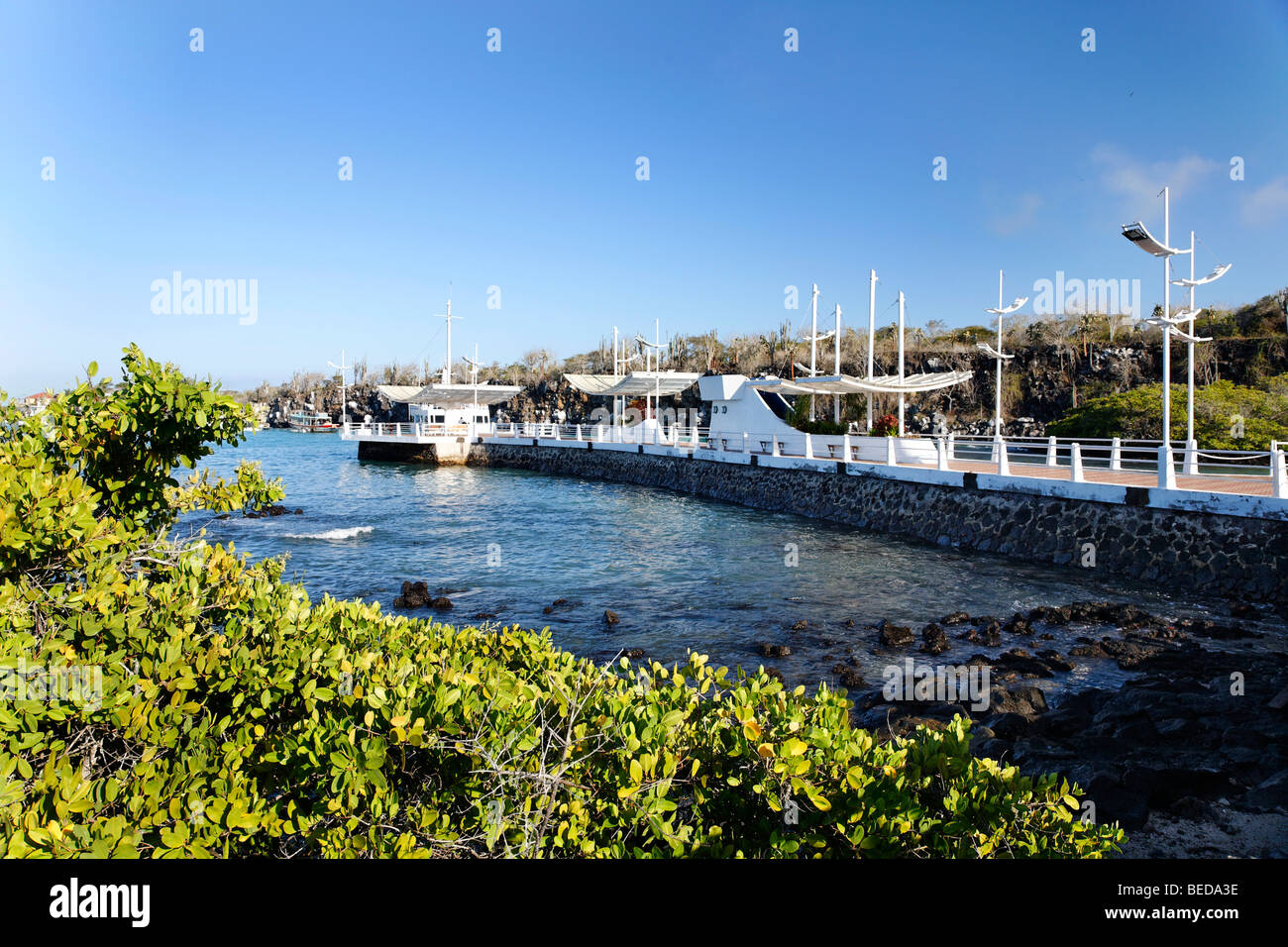 Wichtigsten Landung Wharf für Schiffe und Boote, Puerto Ayora, Insel Santa Cruz, Indefatigable Island, Galapagos-Archipel, Ecuador, Stockfoto