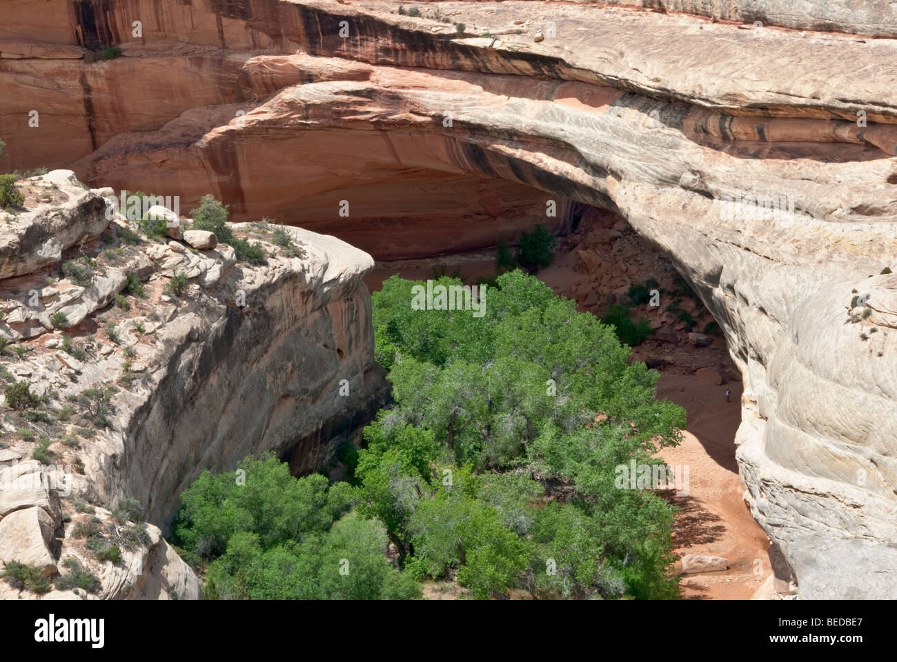 Utah Bridges National Monument Brücke Ansicht Laufwerk Kachina Naturbrücke Stockfoto