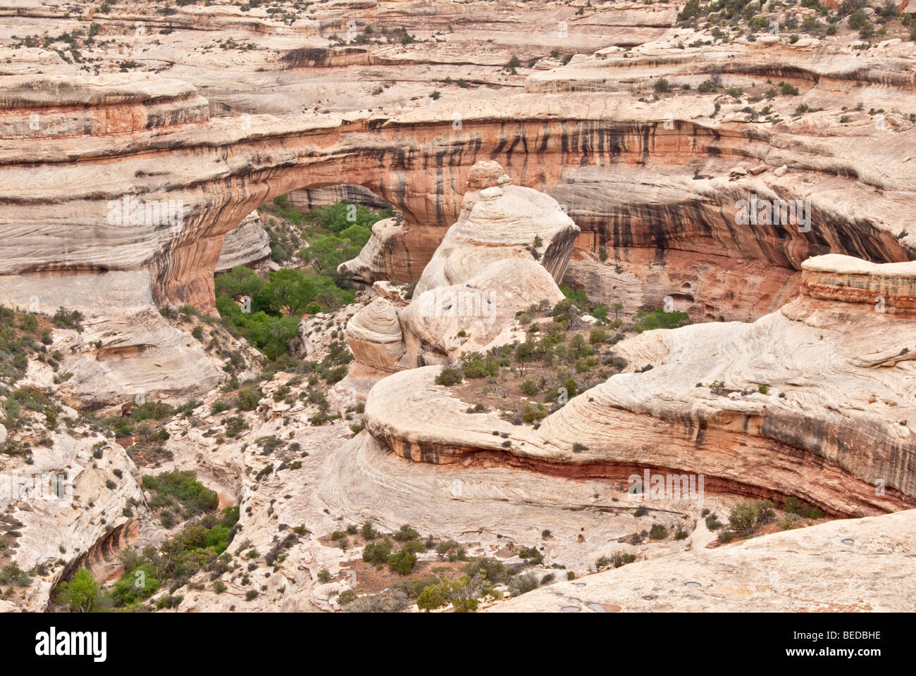 Utah natürlichen Brücken National Monument Brücke Blick Laufwerk Sipapu Brücke Stockfoto