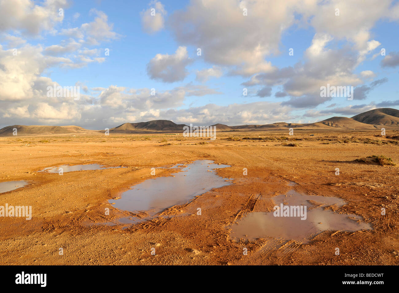 Pfützen nach Regenfällen in El Cotillo, Fuerteventura, Kanarische Inseln, Spanien, Europa Stockfoto