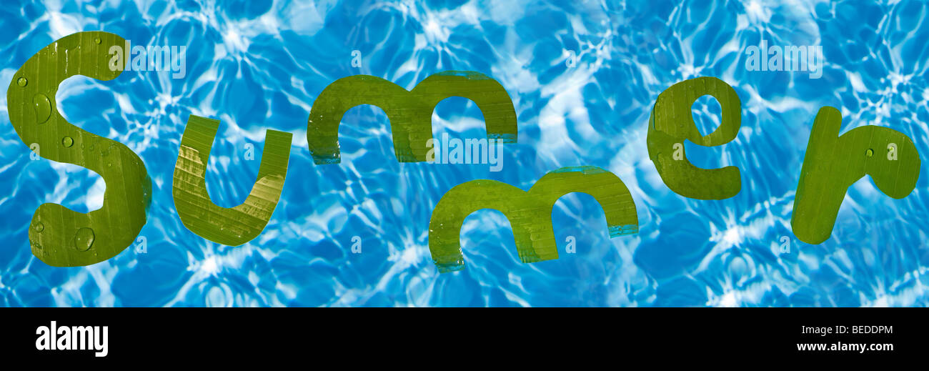 Sommer in Buchstaben ausgeschnitten aus Bananenblatt schwebend in einem Schwimmbad geschrieben Stockfoto