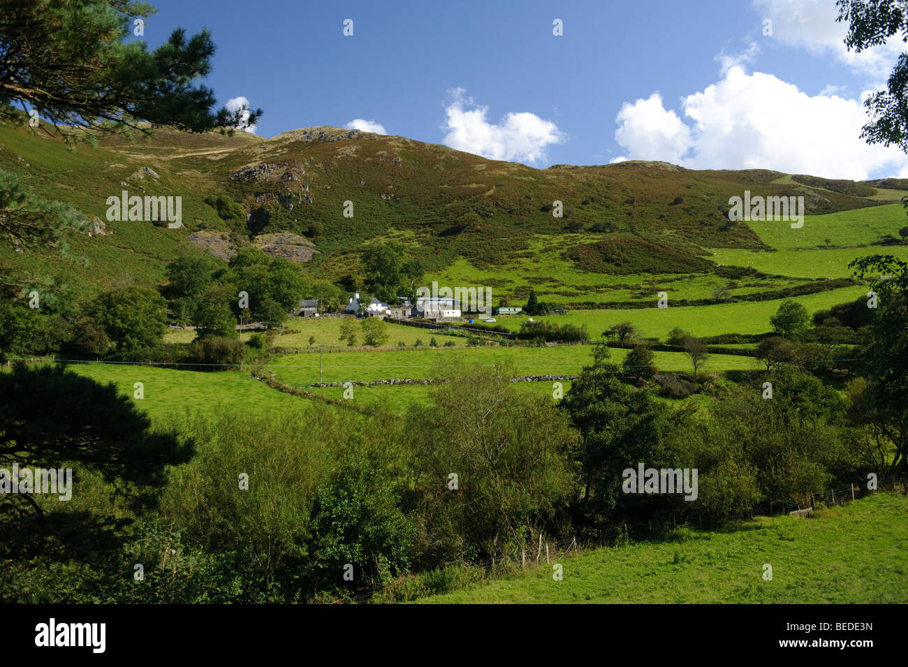 Nantycynnog Farm in ländlichen Happy Valley - Cwm Maethlon - Snowdonia-Nationalpark, Gwynedd Nord-Wales Stockfoto