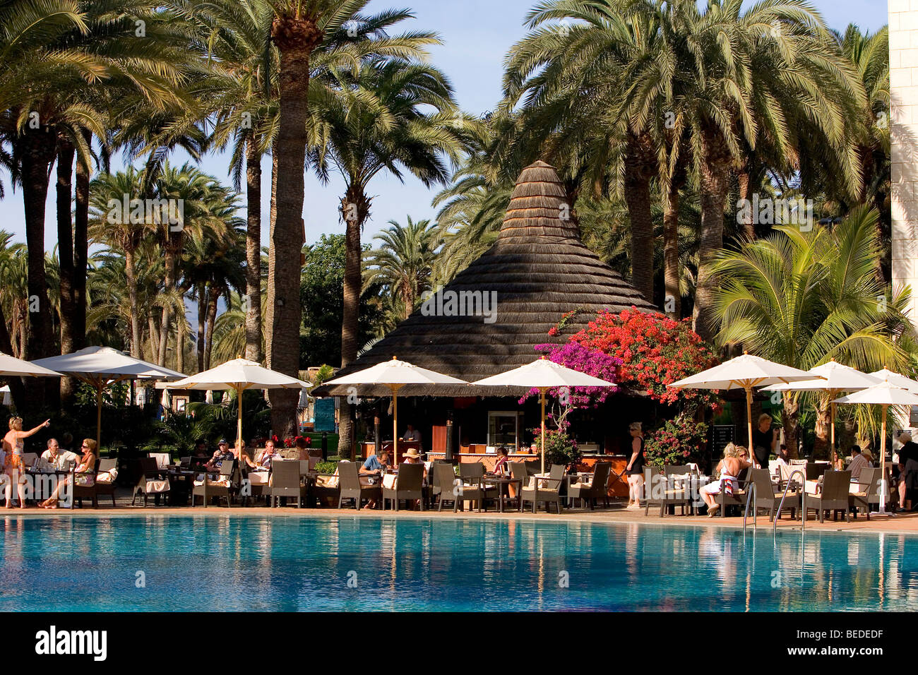 Schwimmbad in einem Palmengarten, Design Hotel Palm Beach, Gran Canaria, Kanarische Inseln, Spanien, Europa Stockfoto