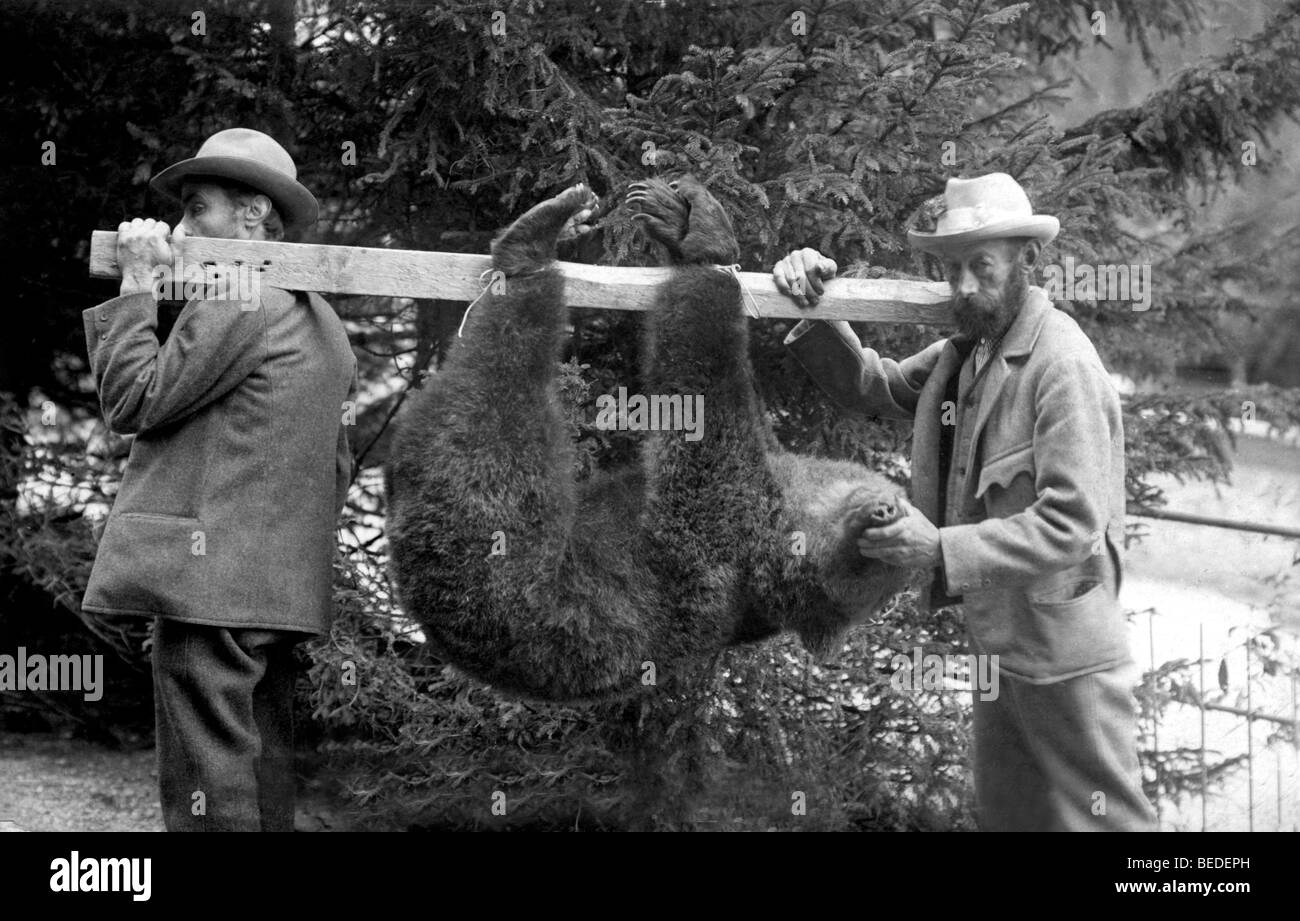 Historisches Foto, zwei Männer mit getöteten Bären, um 1905 Stockfoto