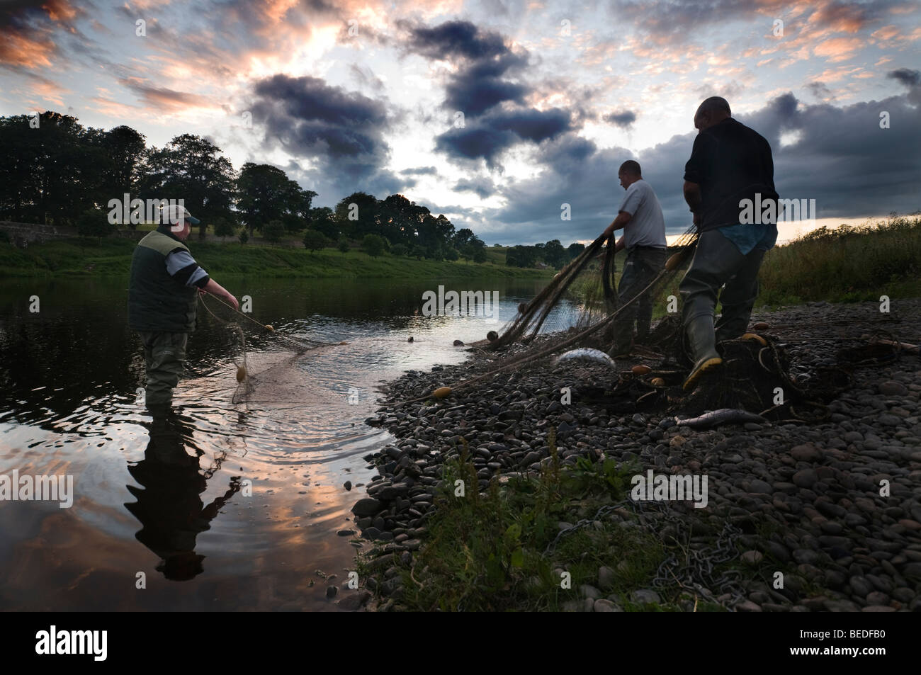 Lachs Fischer bei Canny Fischerei auf dem Fluss Tweed Stockfoto
