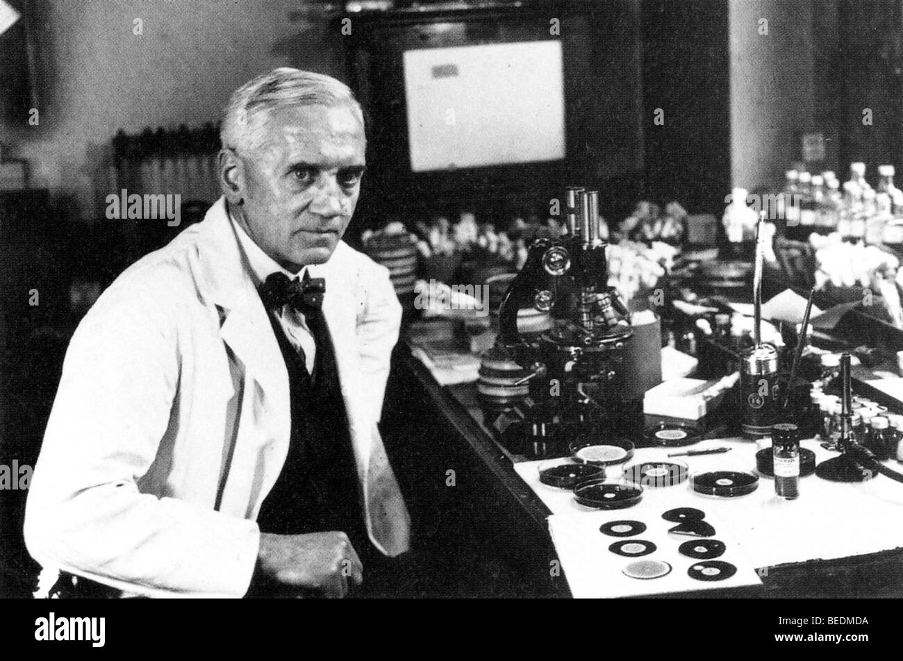 ALEXANDER FLEMING schottische Biologe und Pharmakologe (1881-1955) an Str. Marys Hospital, Paddington, London Stockfoto
