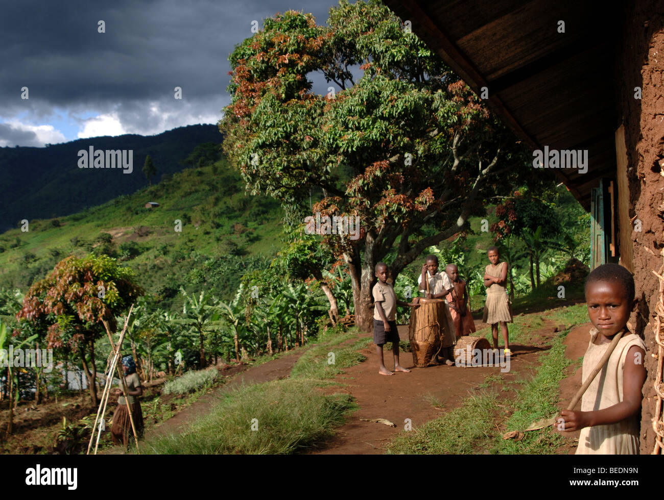 Bakonzo, Ruwenzori-Gebirge, West-Uganda, Afrika Stockfoto