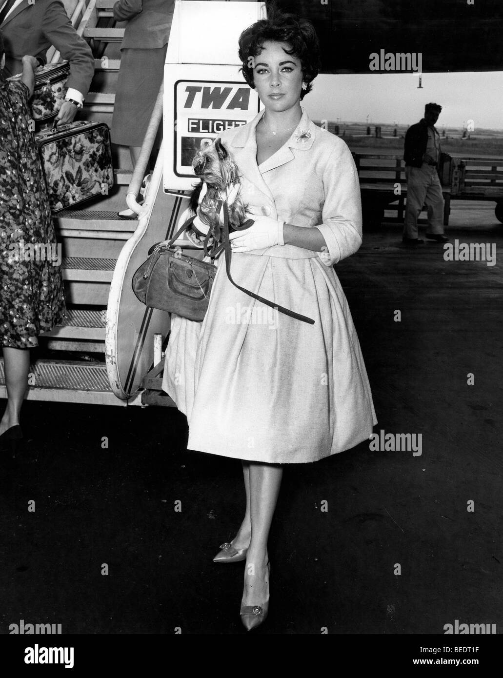 Schauspielerin Elizabeth Taylor am Flughafen mit ihrem Hund Stockfoto