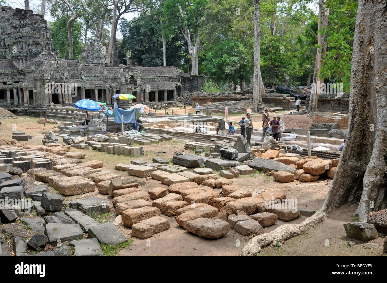 Der Ta Prohm Tempel wird mit indischen Hilfe, UNESCO-Weltkulturerbe, Siem Reap, Kambodscha, Angkor Thom, Asien restauriert Stockfoto
