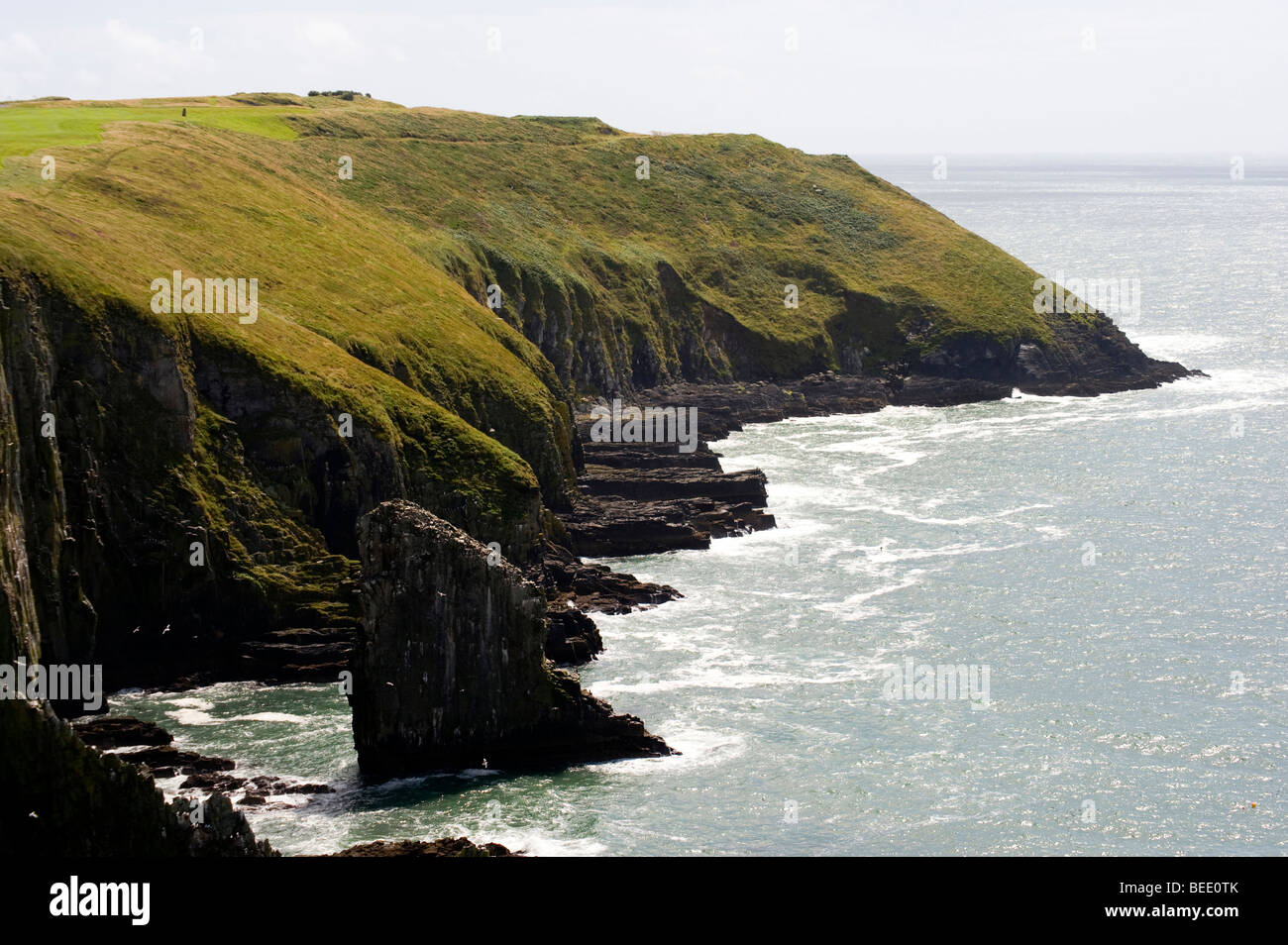 Old Head of Kinsale, Co Cork, Irland Stockfoto