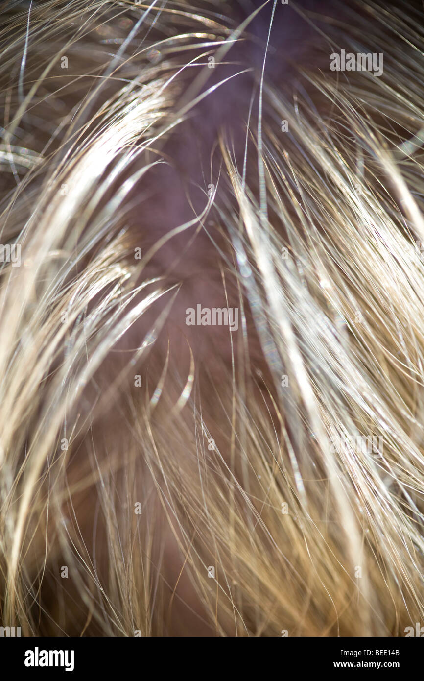 abstraktes Bild von chaotisch blonden Haaren auf eine Frau. Stockfoto