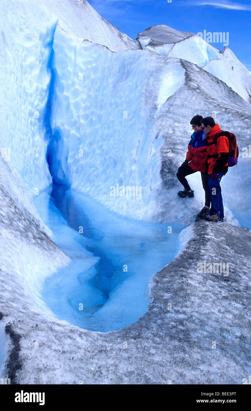 Trekking auf dem Gletscher Viedma. El Chalten. Der Gletscher-Nationalpark. Provinz Santa Cruz. Patagonien. Argentinien. Stockfoto